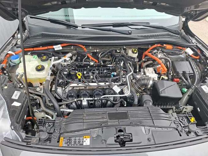 Ford Kuga Cool & Connect Navi WiPa Allseason