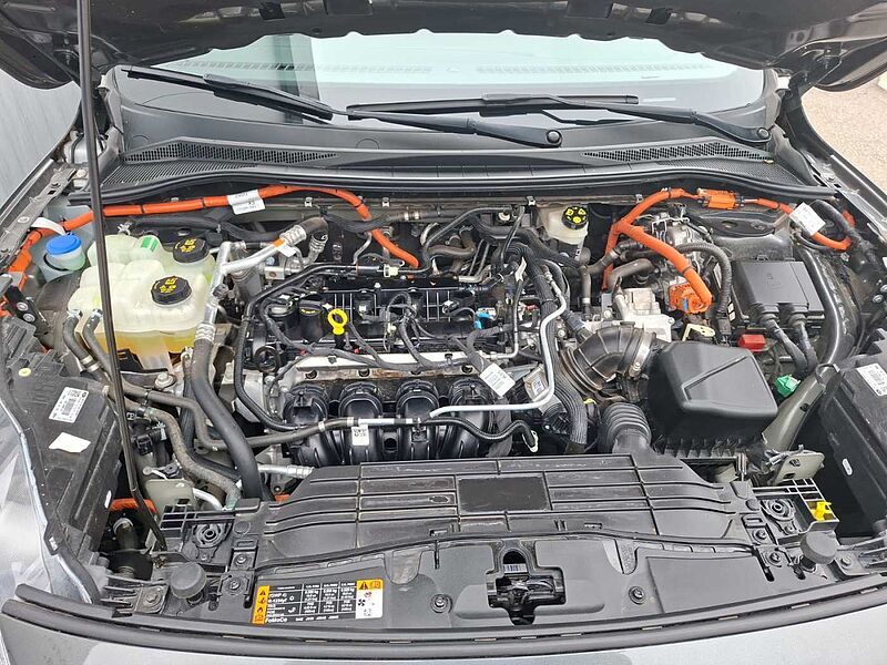 Ford Kuga Cool & Connect Navi WiPa Allseason