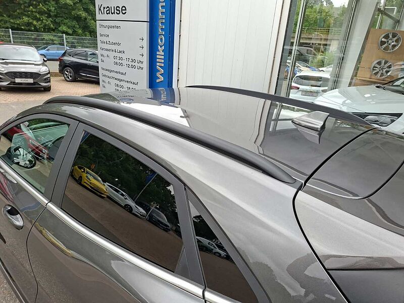 Ford Puma Vignale Autom AHK Leder B&O RFK