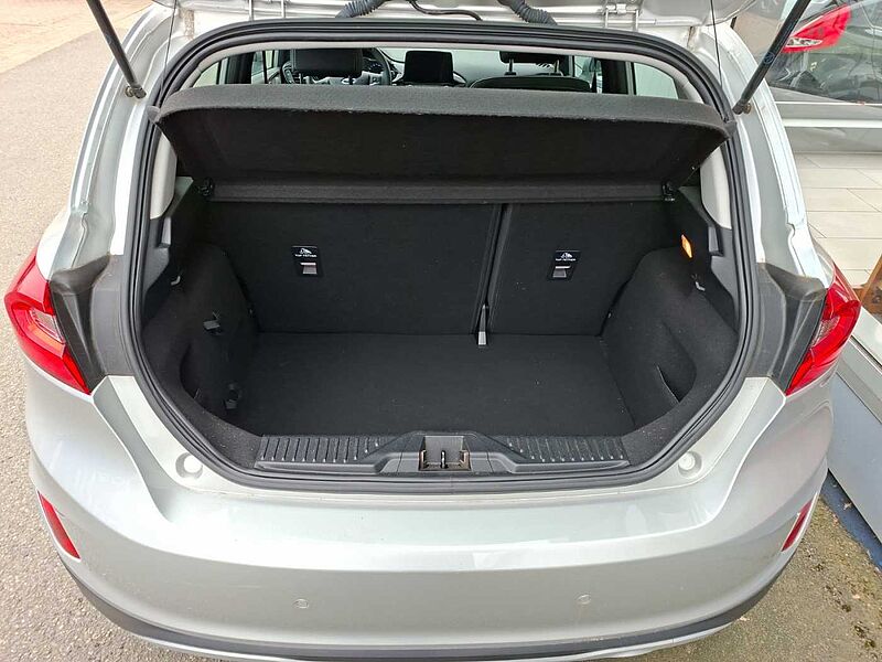 Ford Fiesta Active Pano 29TKM